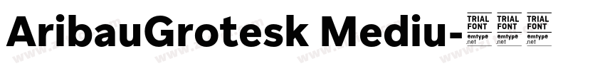AribauGrotesk Mediu字体转换
